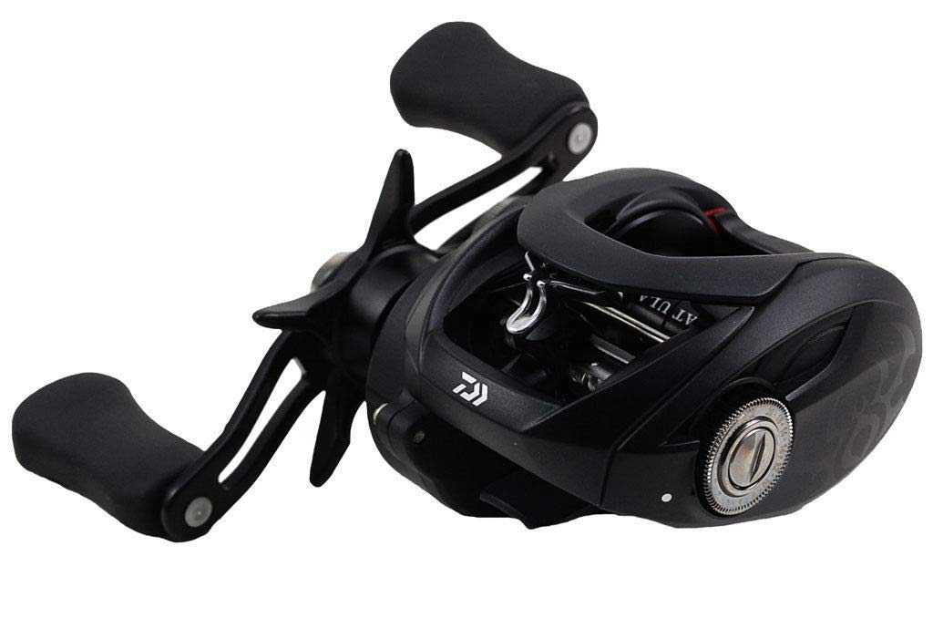 Amazon.co.jp | ダイワ タトゥーラ 100H TTU 100H 右ハンドル 6.3:1